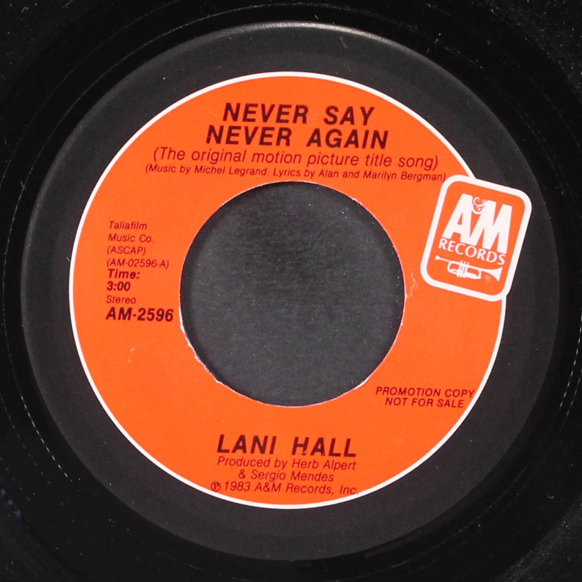 never say never again by LANI HALL