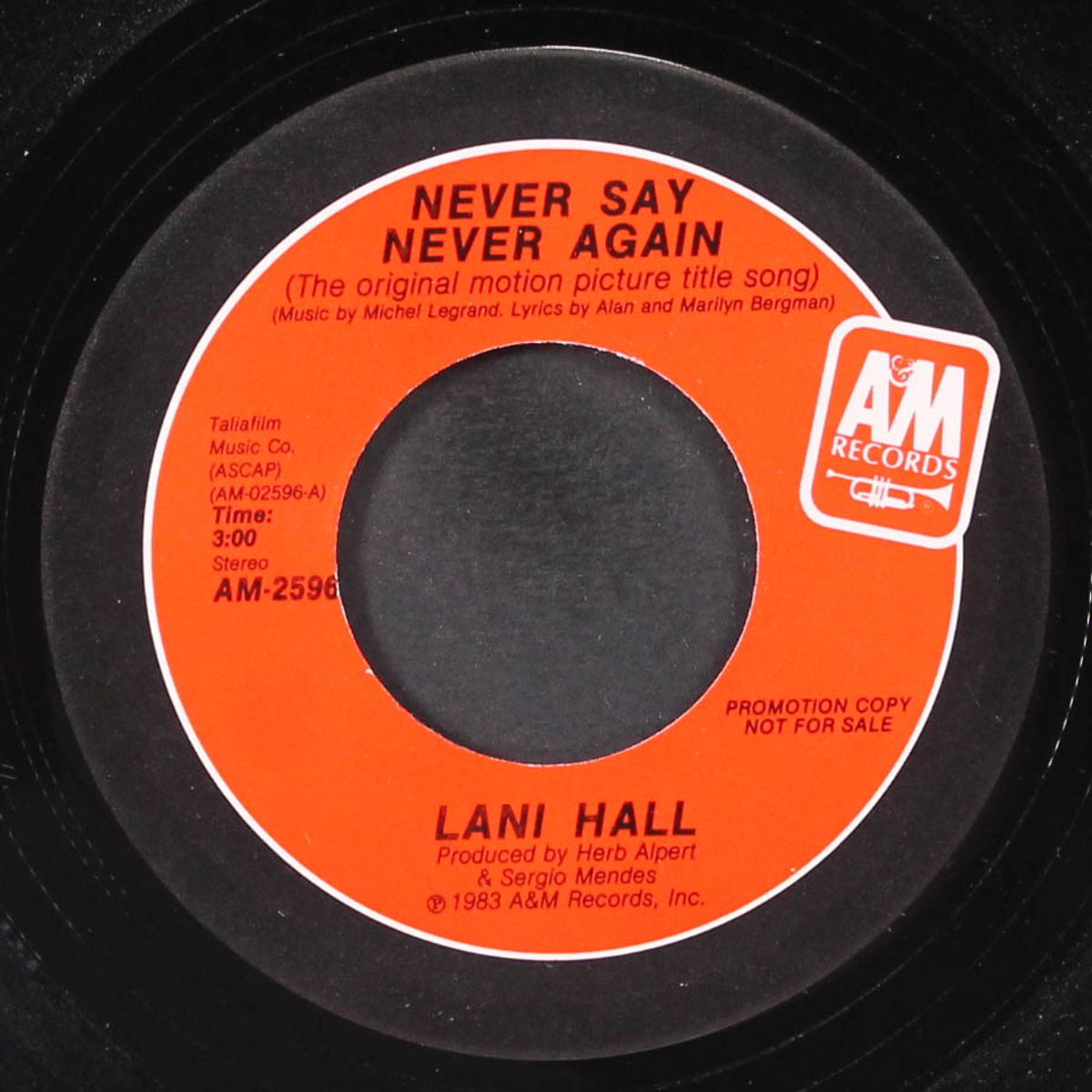 never say never again by LANI HALL