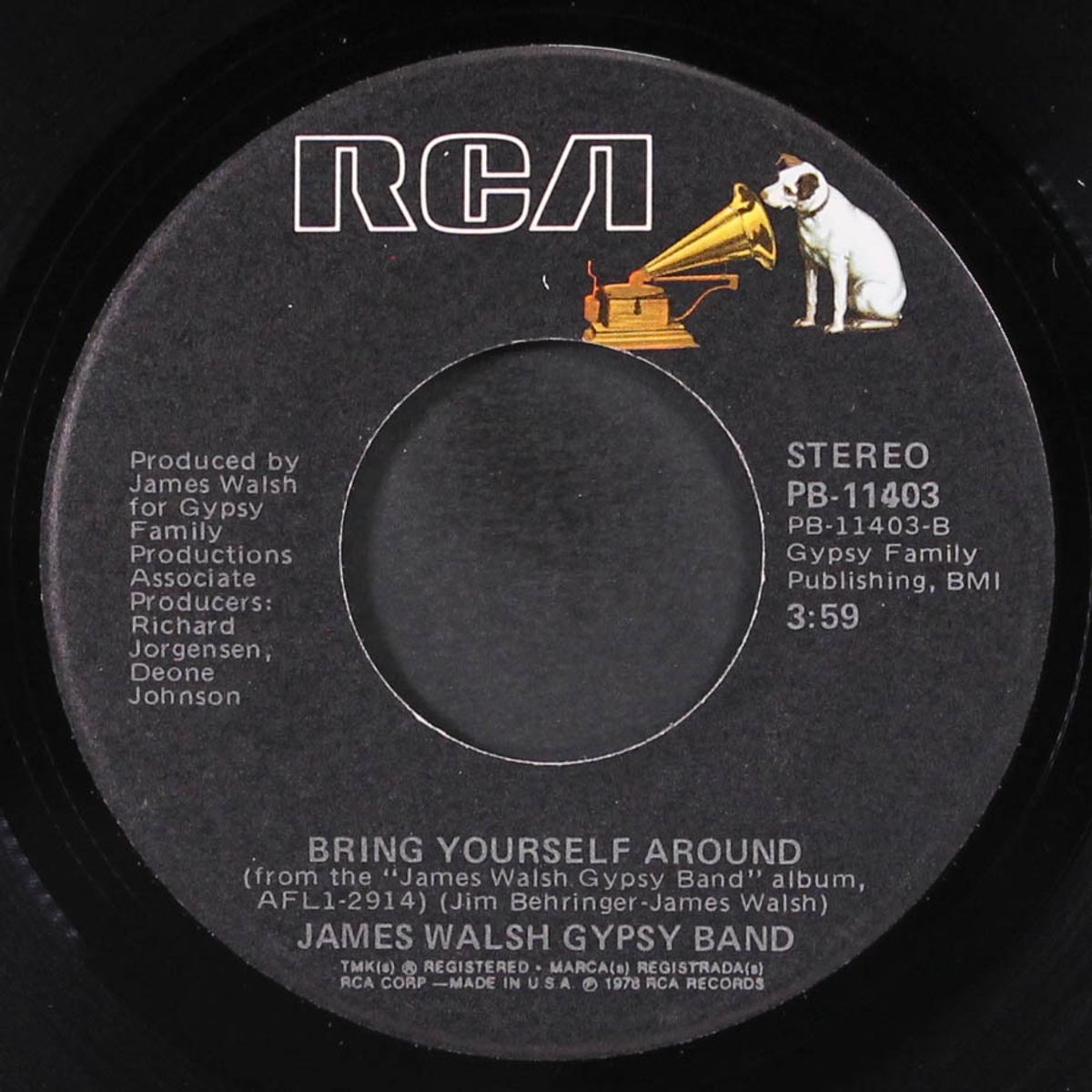 cuz it's you, girl / bring yourself around by JAMES WALSH GYPSY BAND