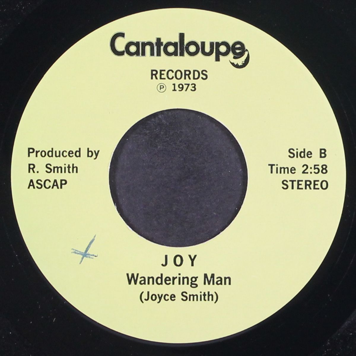 i've got news for you / wandering man by JOY