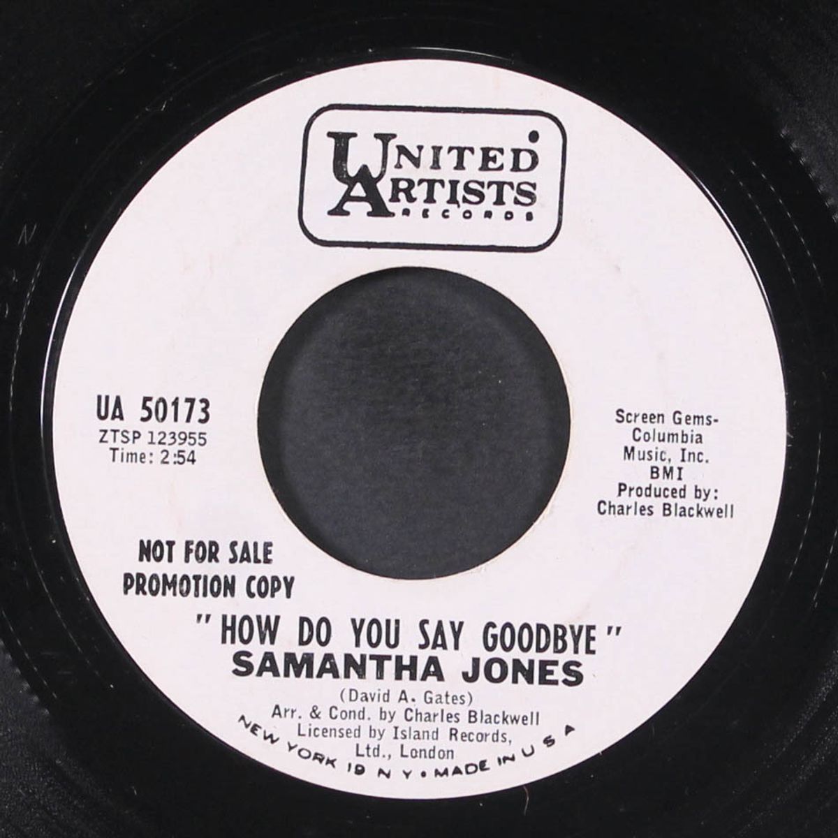 ray of sunshine / how do you say goodbye by SAMANTHA JONES