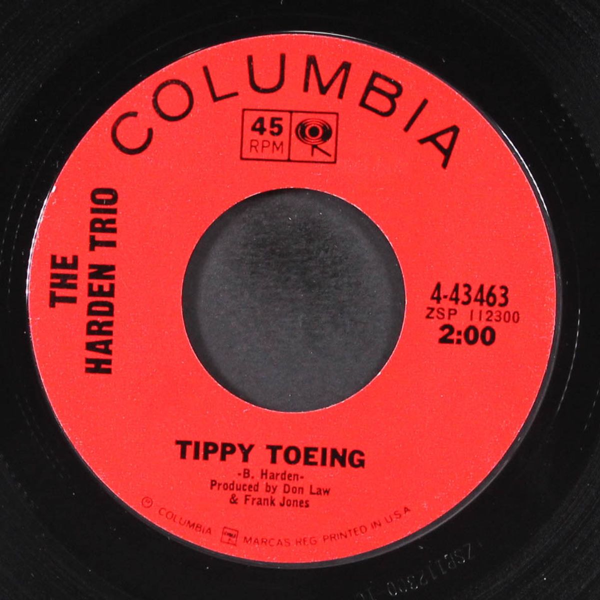 tippy toeing / don't remind me by HARDEN TRIO