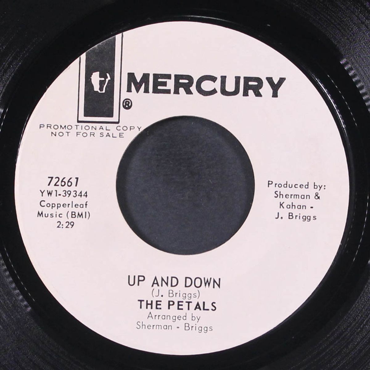 the windows of your heart / up and down by PETALS