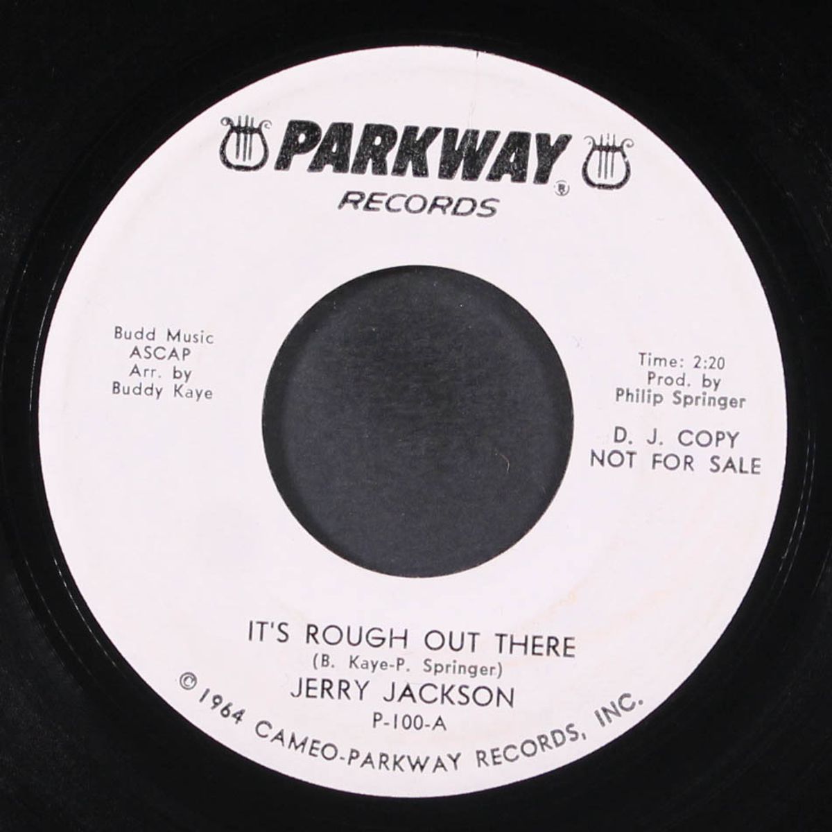 it's rough out there / i'm gonna paint a picture by JERRY JACKSON