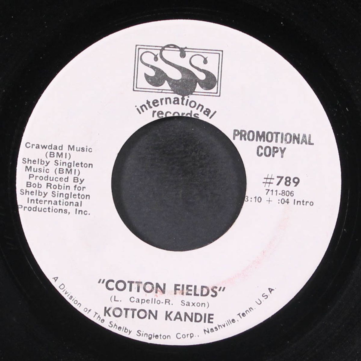 cotton fields by KOTTON KANDIE
