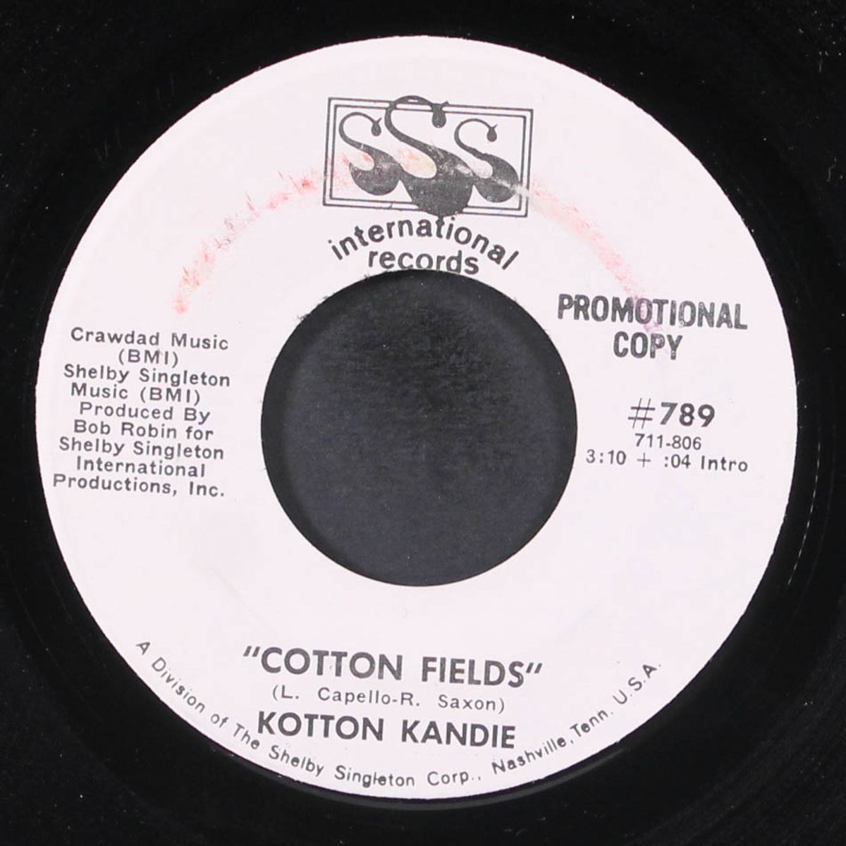 cotton fields by KOTTON KANDIE