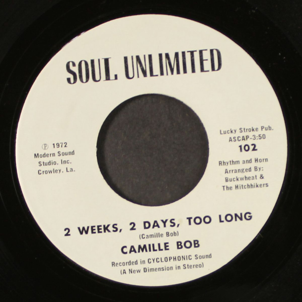 brother brown / 2 weeks, 2 days, too long by CAMILLE BOB