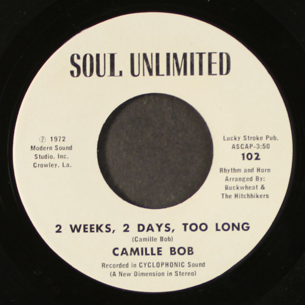 brother brown / 2 weeks, 2 days, too long by CAMILLE BOB