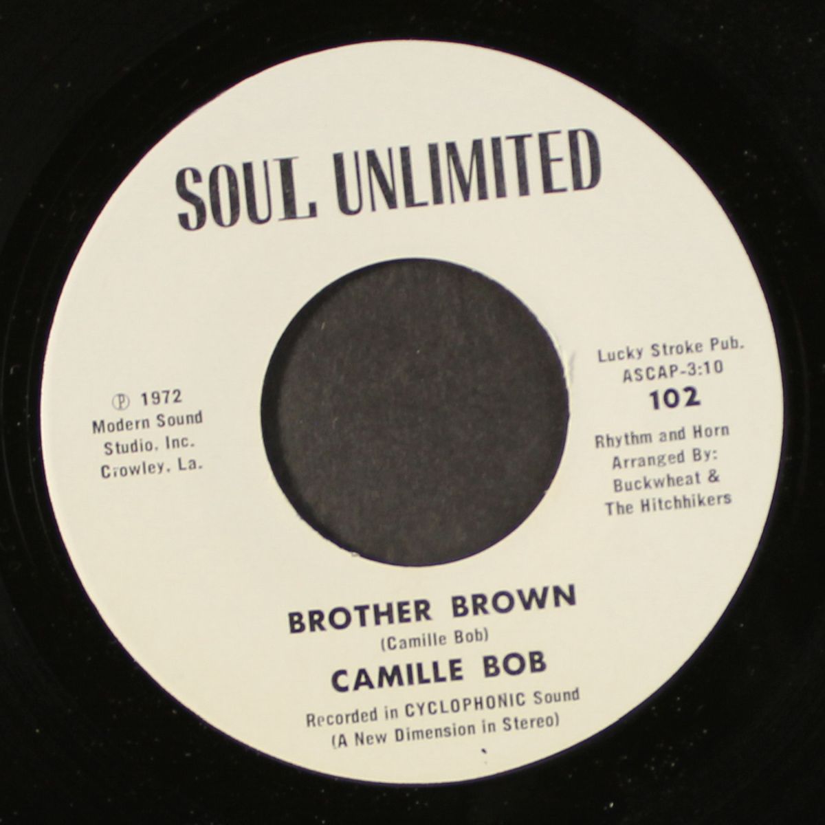 brother brown / 2 weeks, 2 days, too long by CAMILLE BOB