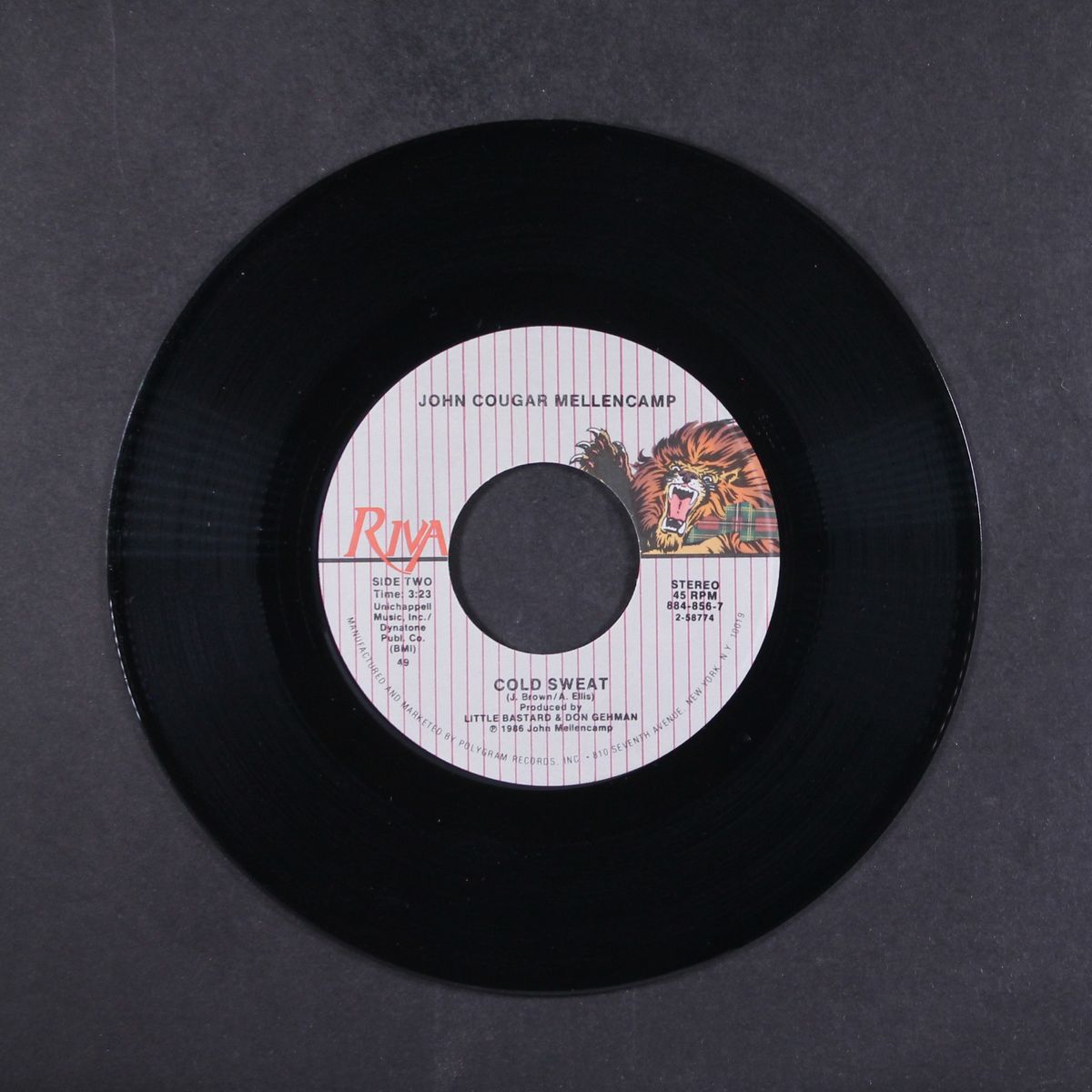 rumbleseat by JOHN COUGAR MELLENCAMP
