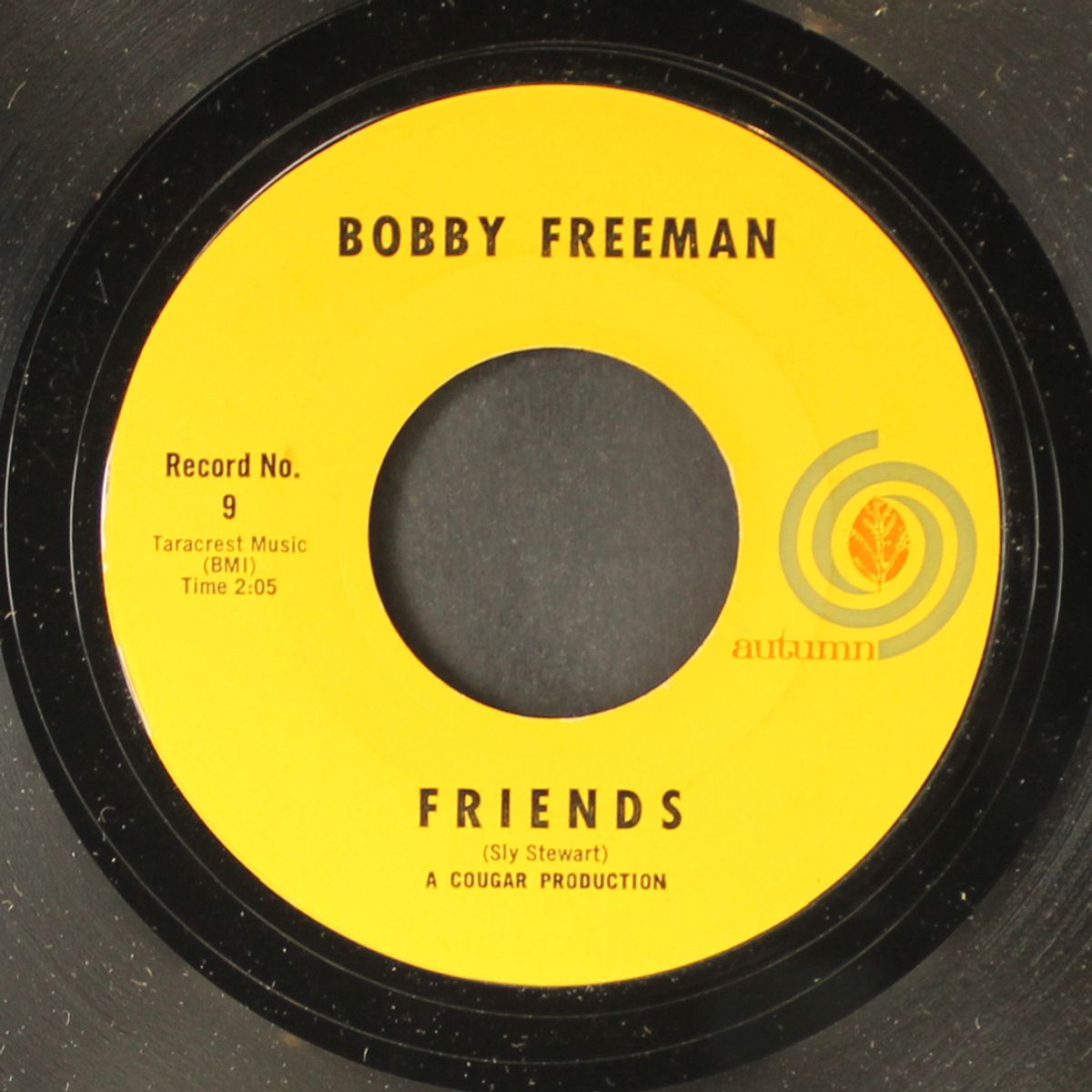 i'll never fall in love again / friends by BOBBY FREEMAN