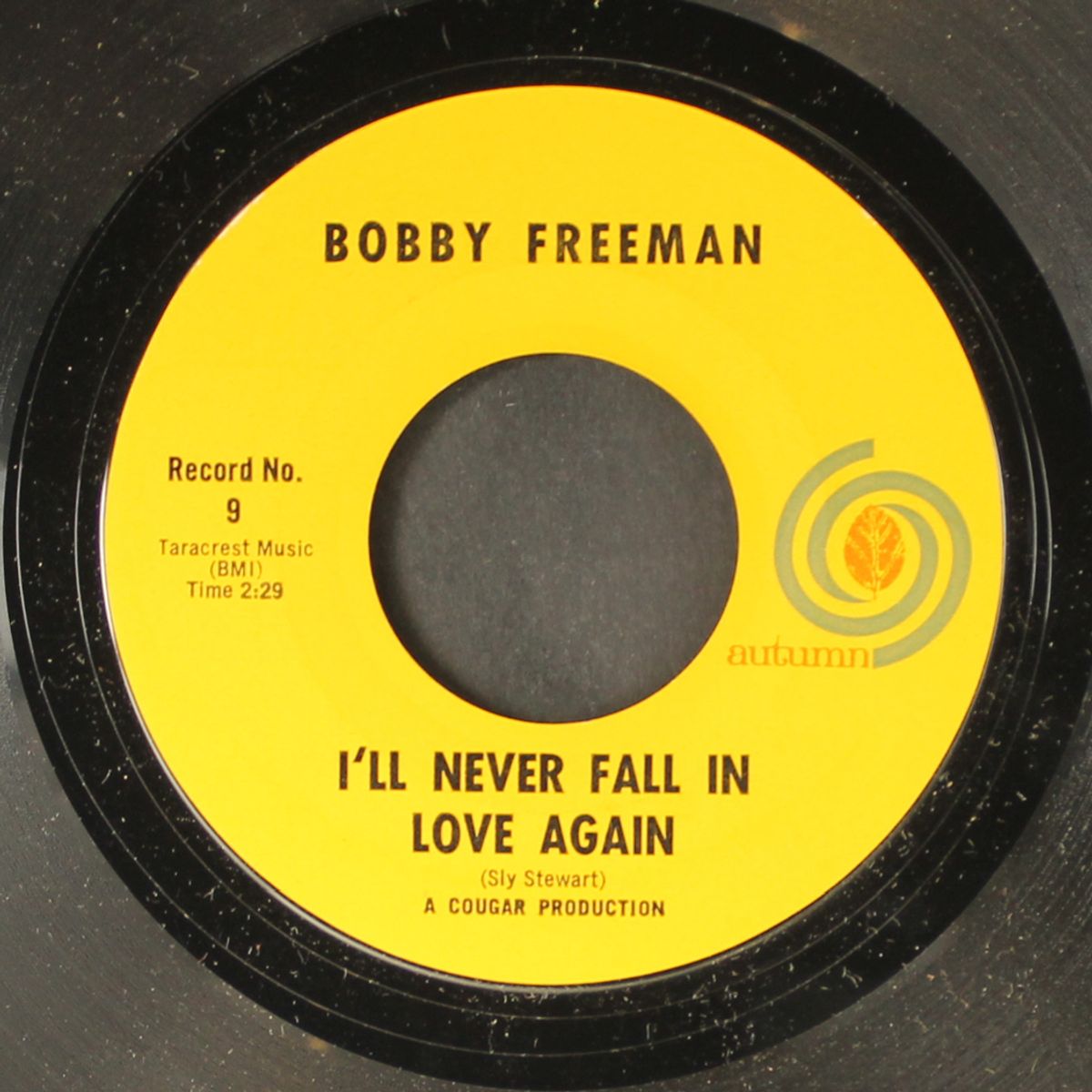 i'll never fall in love again / friends by BOBBY FREEMAN