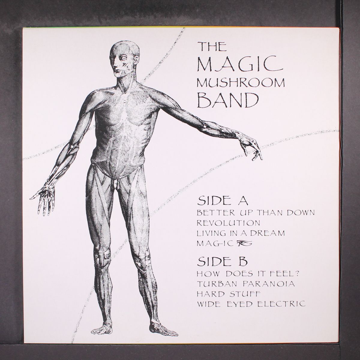 the politics of ecstasy by MAGIC MUSHROOM BAND