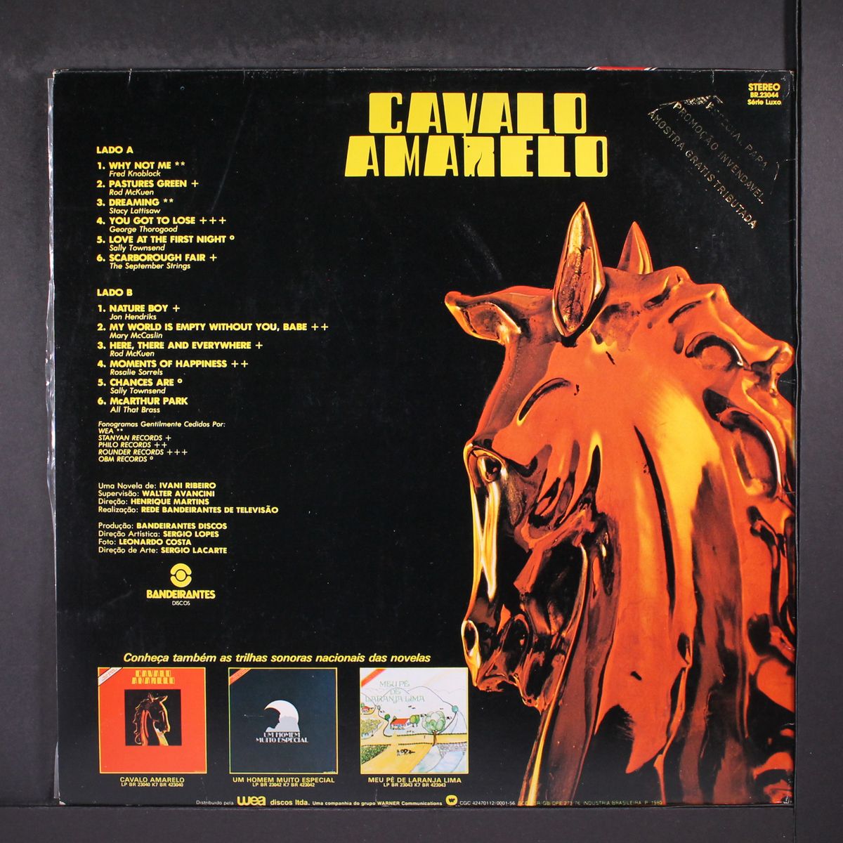 cavalo amarelo by VARIOUS