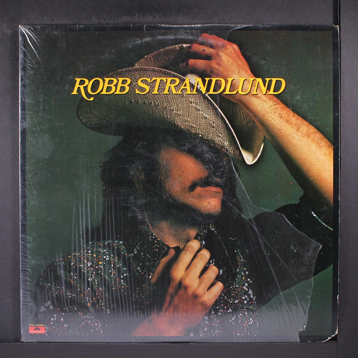 robb strandlund by ROBB STRANDLUND