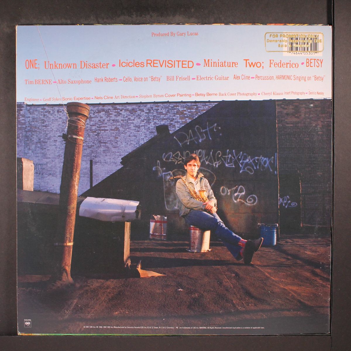 fulton street maul by TIM BERNE