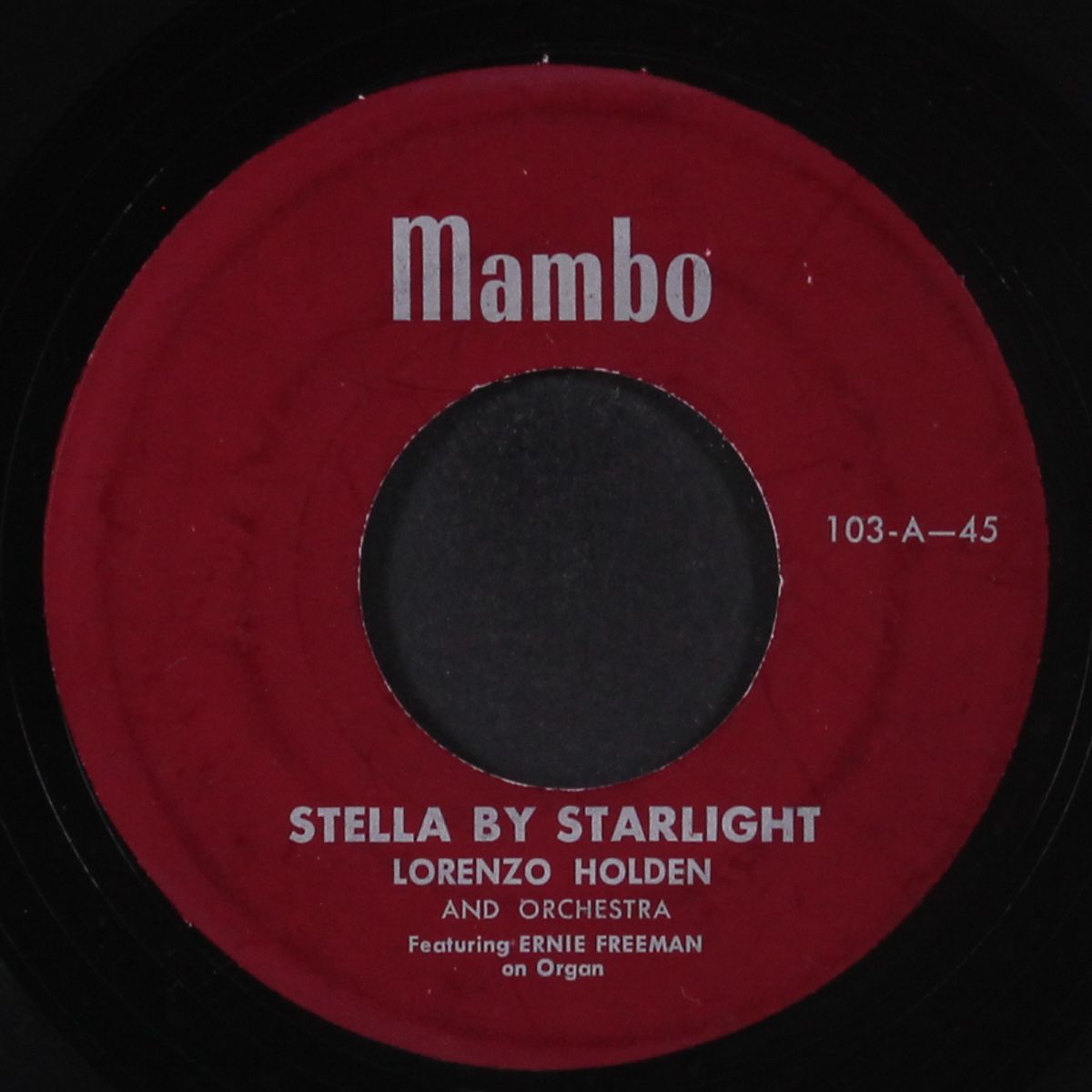 whipped cream / stella by starlight by LORENZO HOLDEN