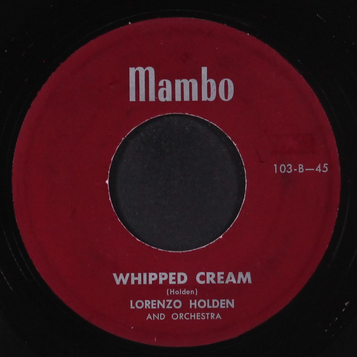 whipped cream / stella by starlight by LORENZO HOLDEN