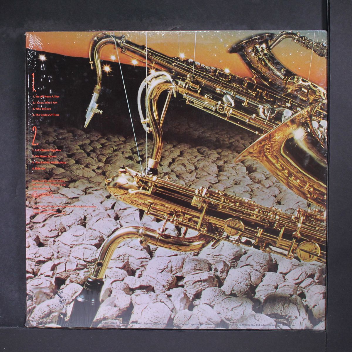 we all have a star by WILTON FELDER