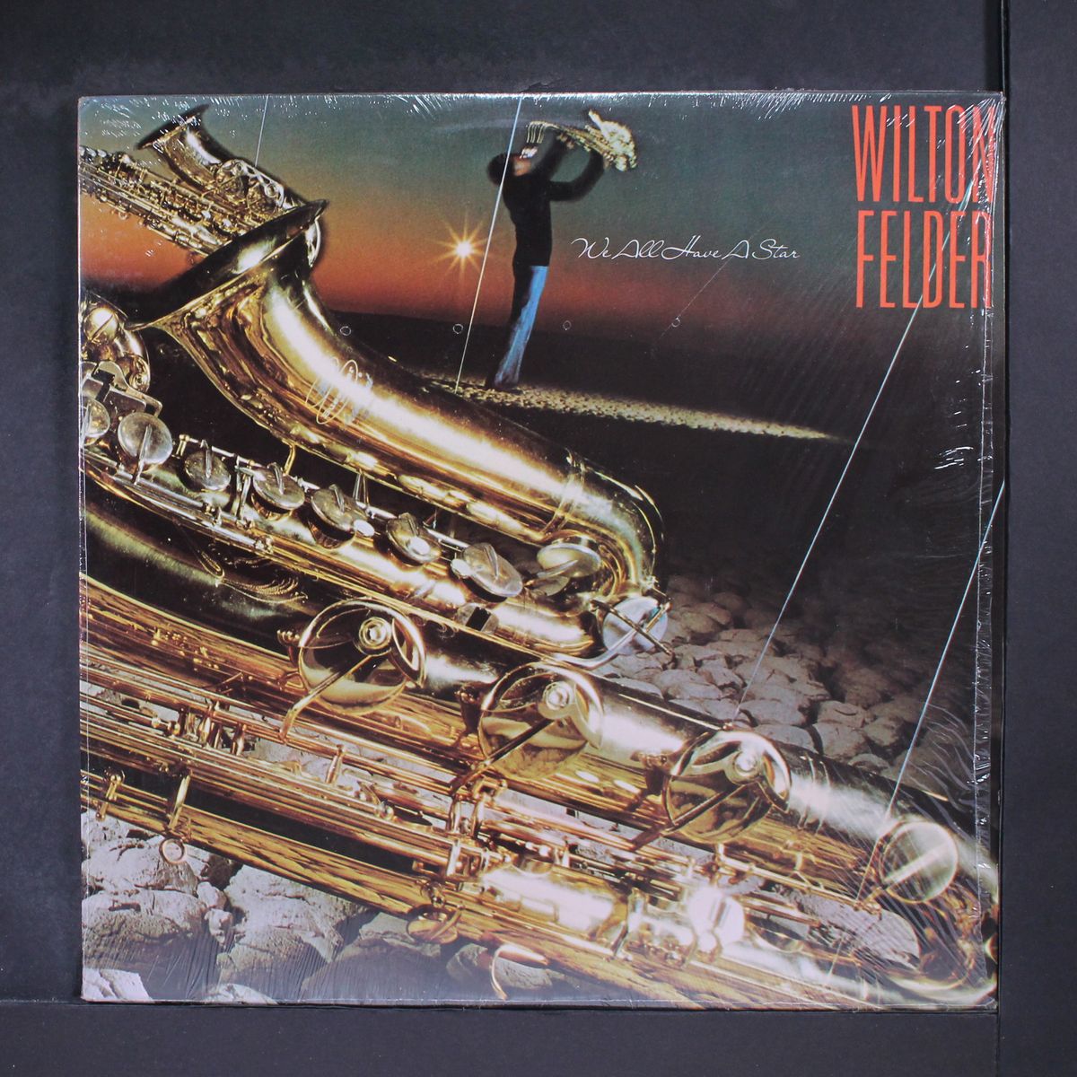we all have a star by WILTON FELDER