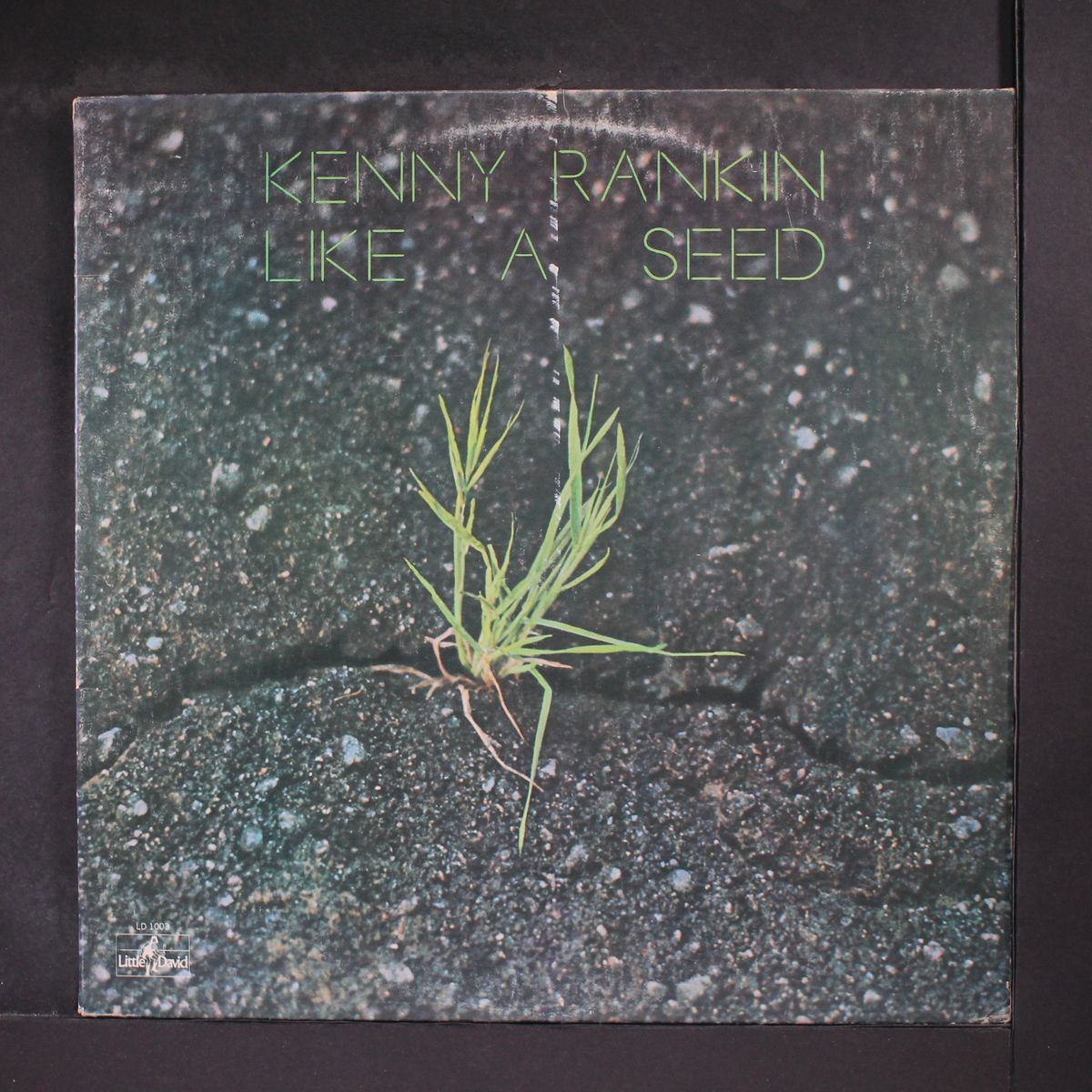 like a seed by KENNY RANKIN
