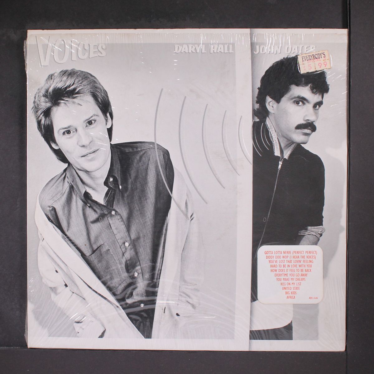 voices by HALL & OATES