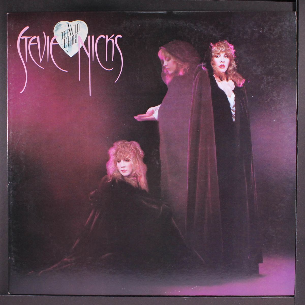 the wild heart by STEVIE NICKS