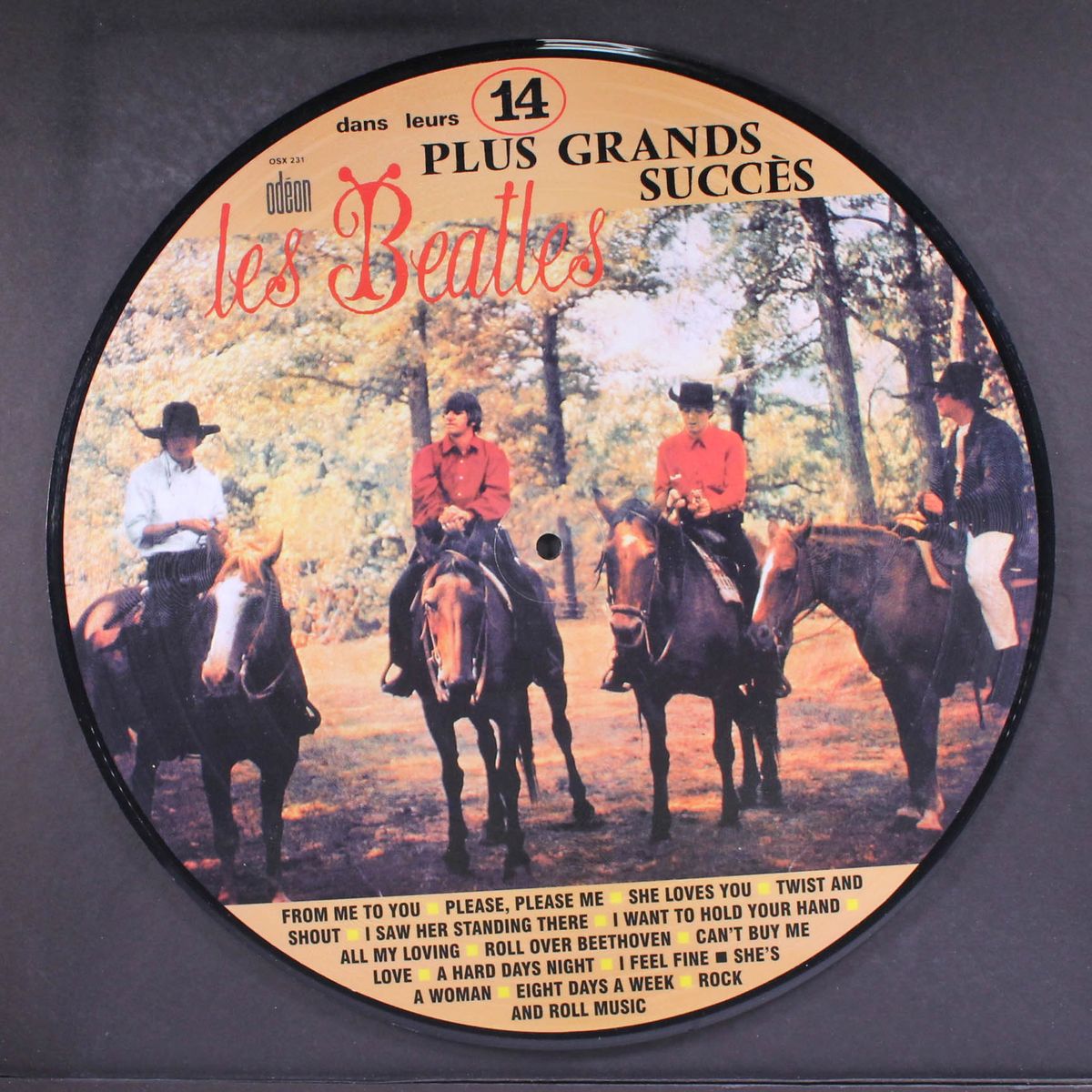 les beatles dan leurs 14 plus grand succes by BEATLES