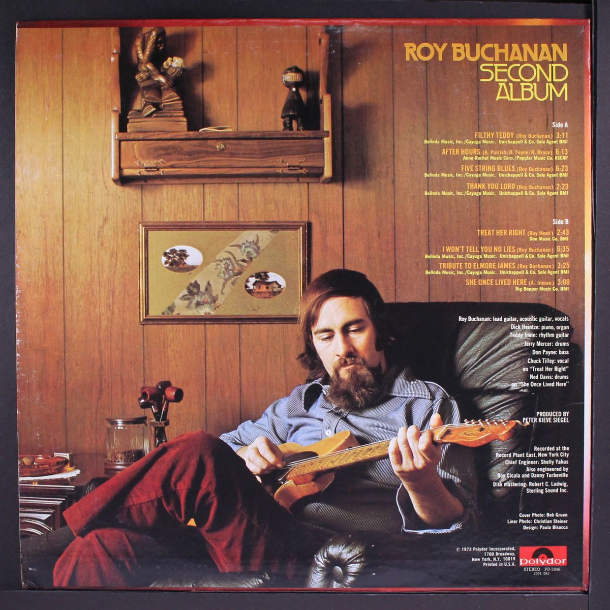second album by ROY BUCHANAN