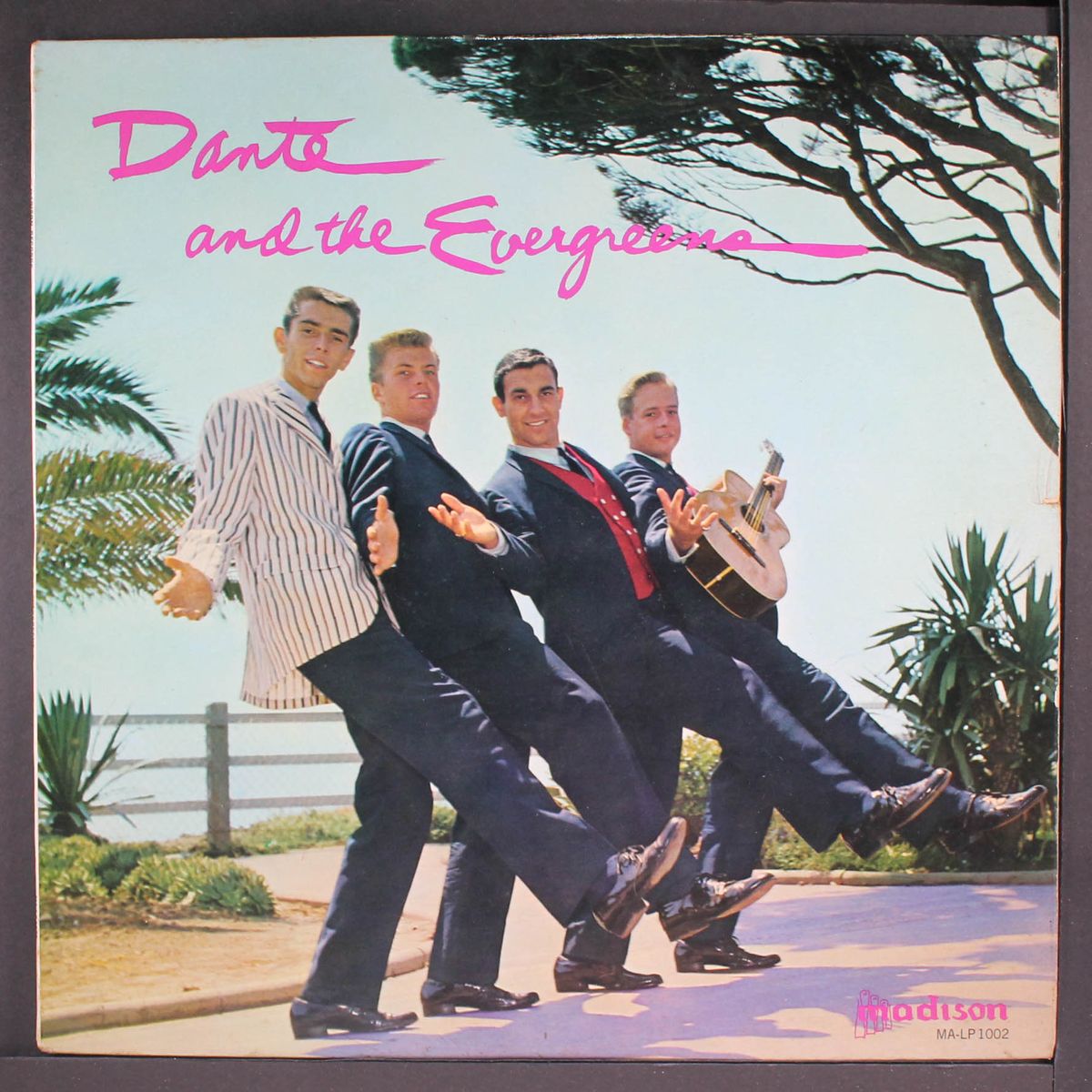 dante and the evergreens by DANTE & EVERGREENS