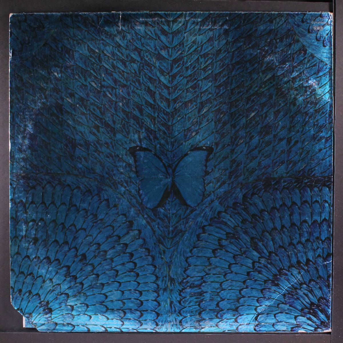 borboletta by SANTANA