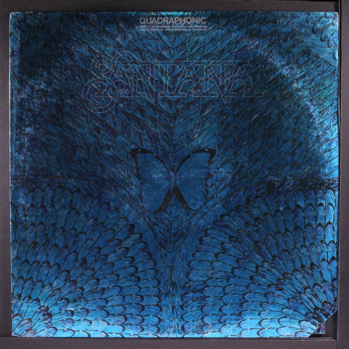 borboletta by SANTANA