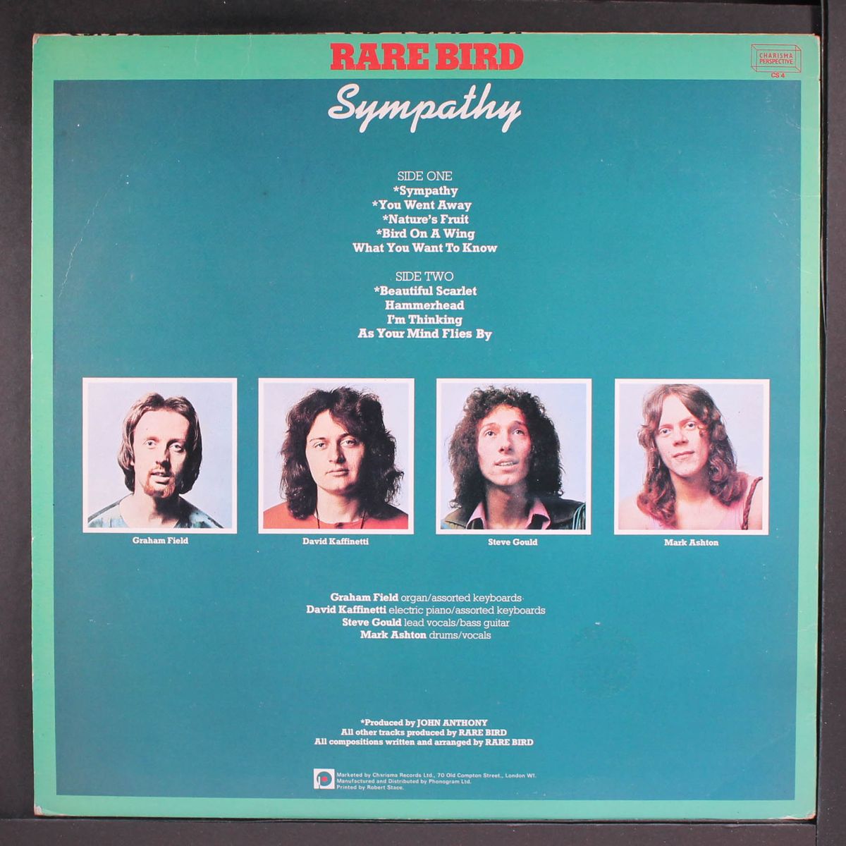 sympathy by RARE BIRD