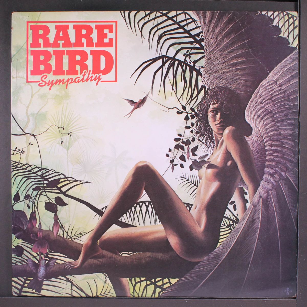 sympathy by RARE BIRD