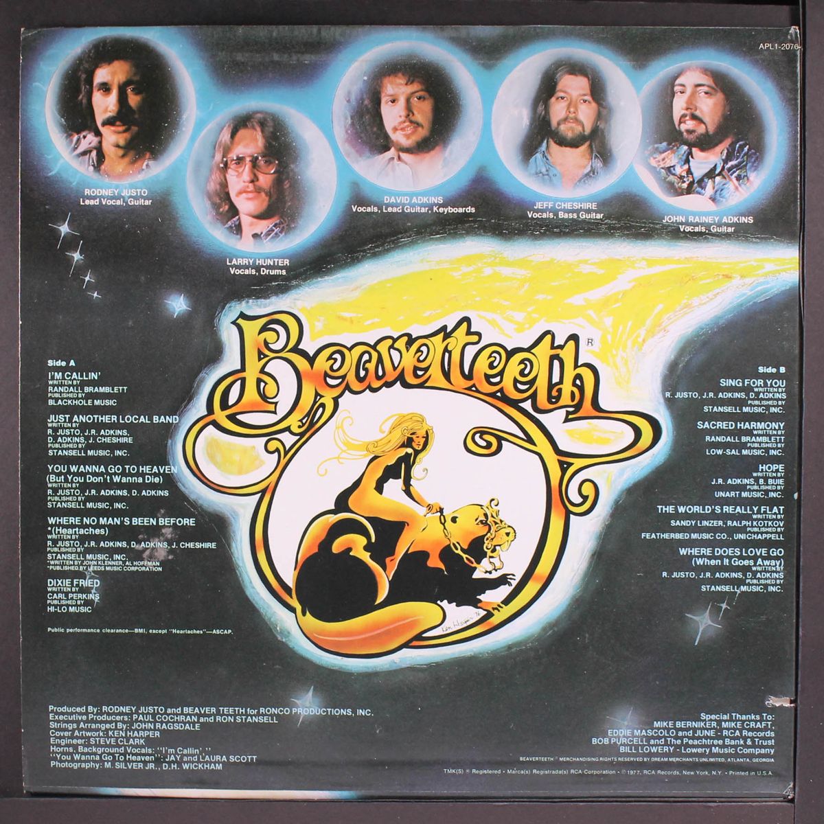 beaverteeth by BEAVERTEETH
