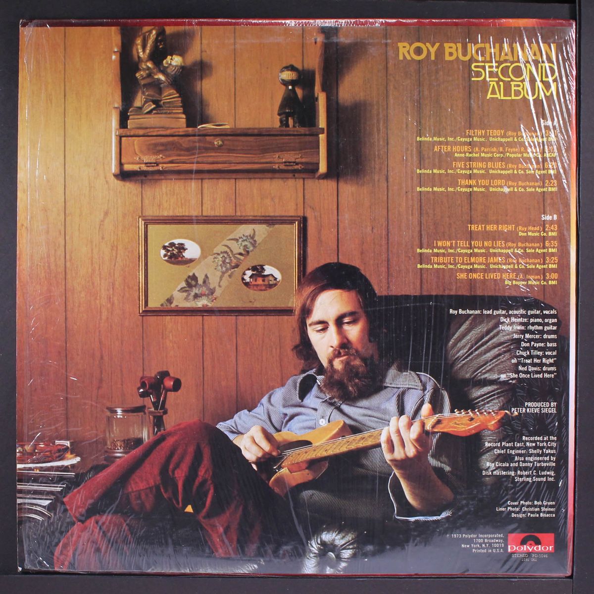 second album by ROY BUCHANAN