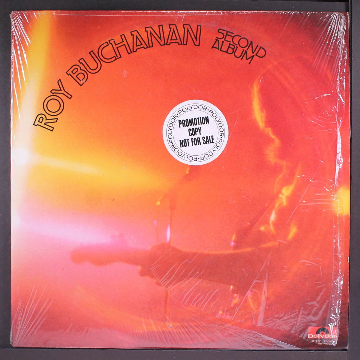 second album by ROY BUCHANAN