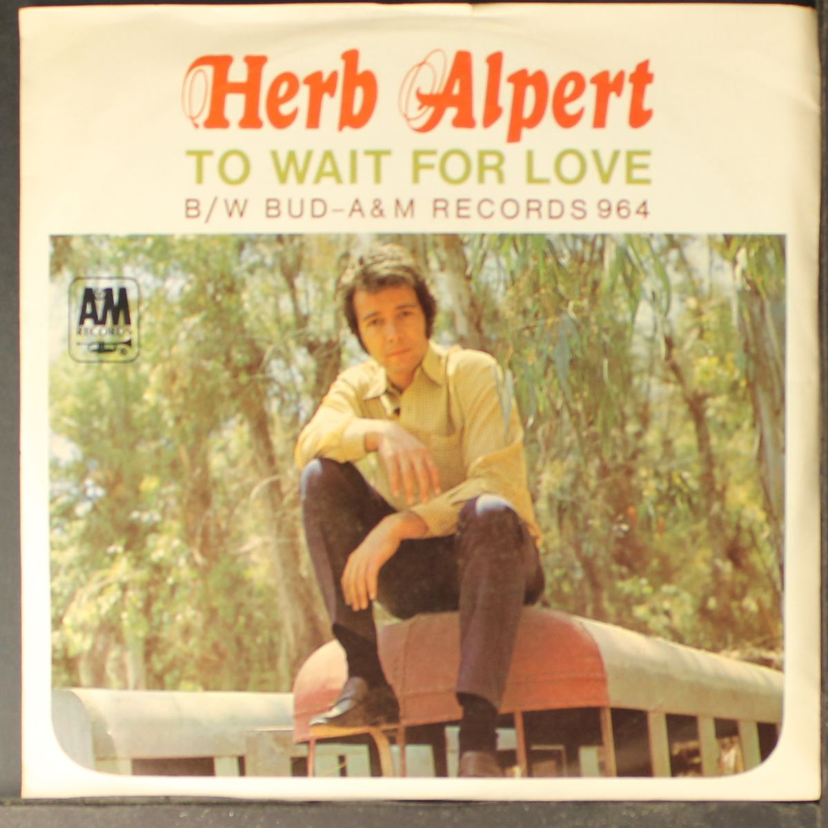 to wait for love / bud by HERB ALPERT