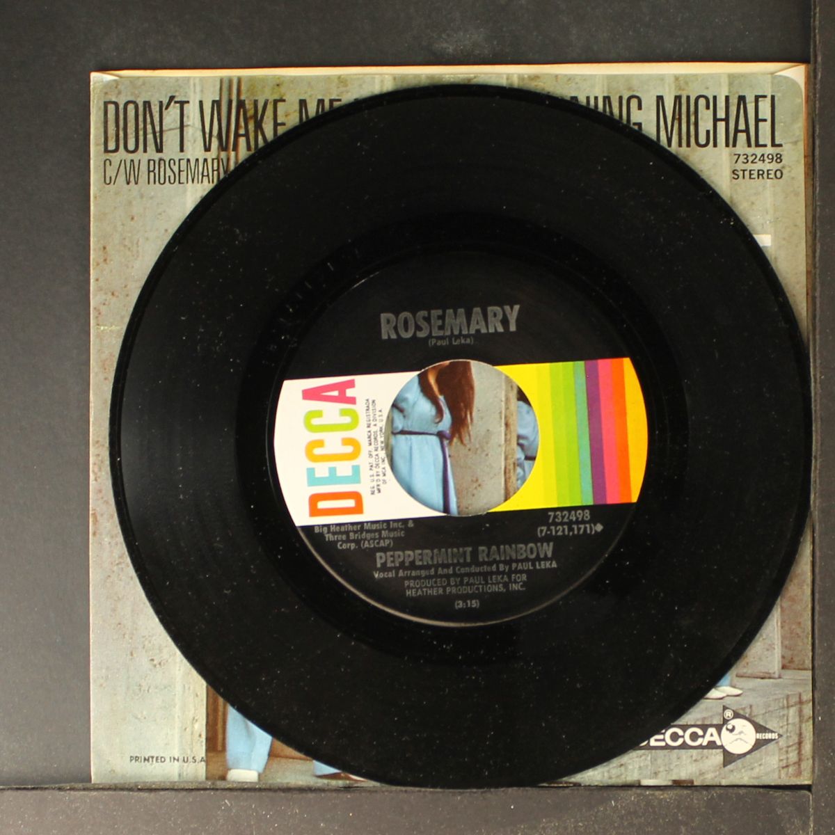 don't wake me up in the morning michael / rosemary by PEPPERMINT RAINBOW