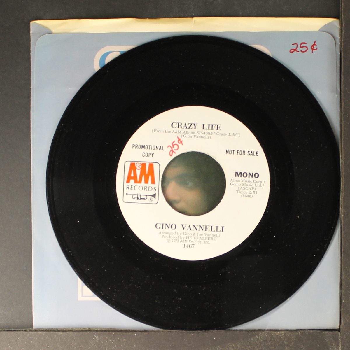 crazy life / mono by GINO VANNELLI