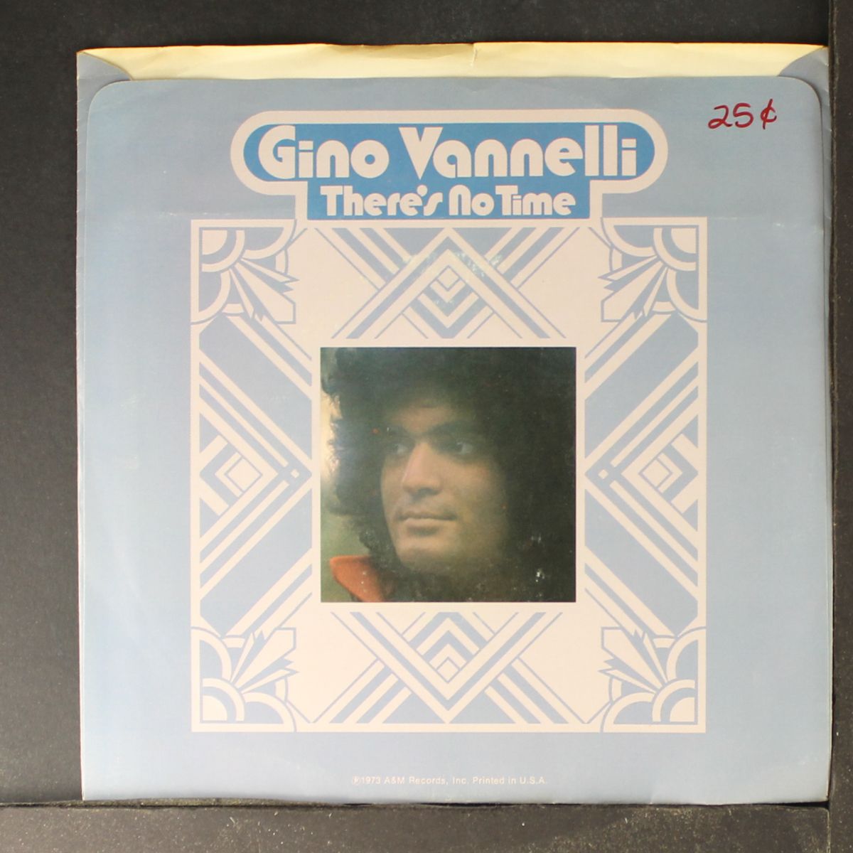 crazy life / mono by GINO VANNELLI