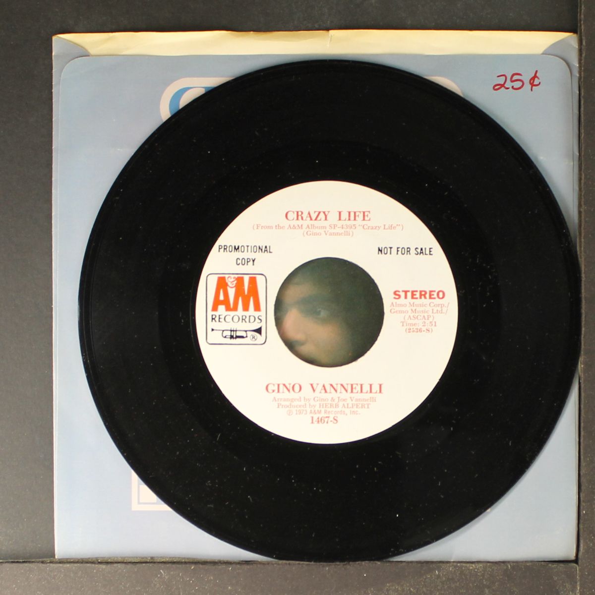 crazy life / mono by GINO VANNELLI