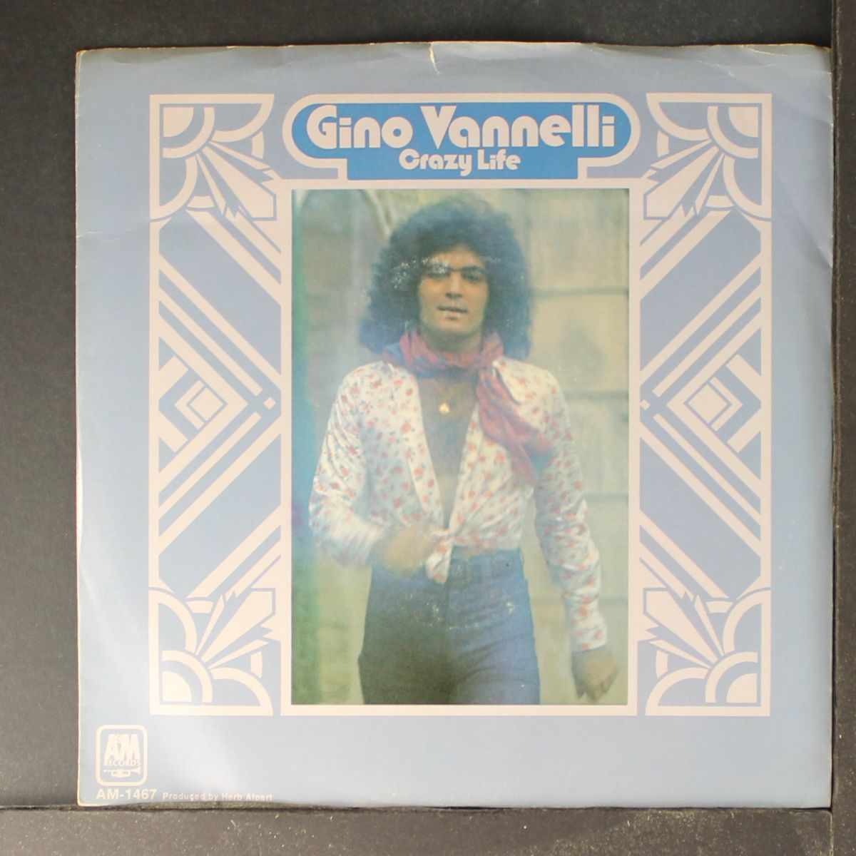 crazy life / mono by GINO VANNELLI