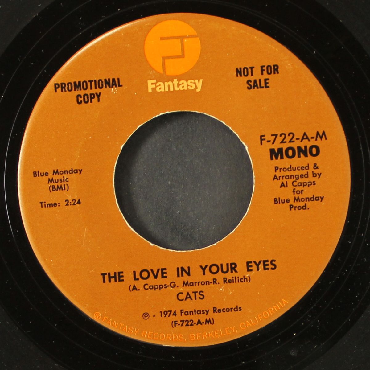 the love in your eyes / mono by CATS