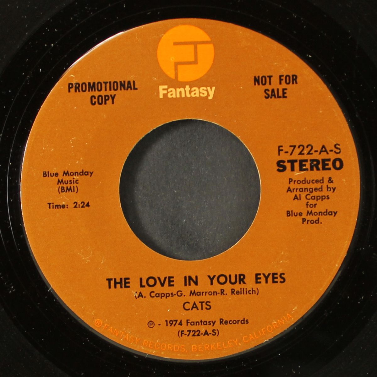 the love in your eyes / mono by CATS