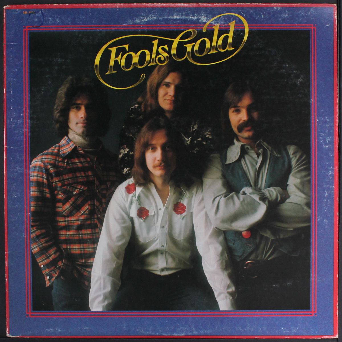 fools gold by FOOLS GOLD