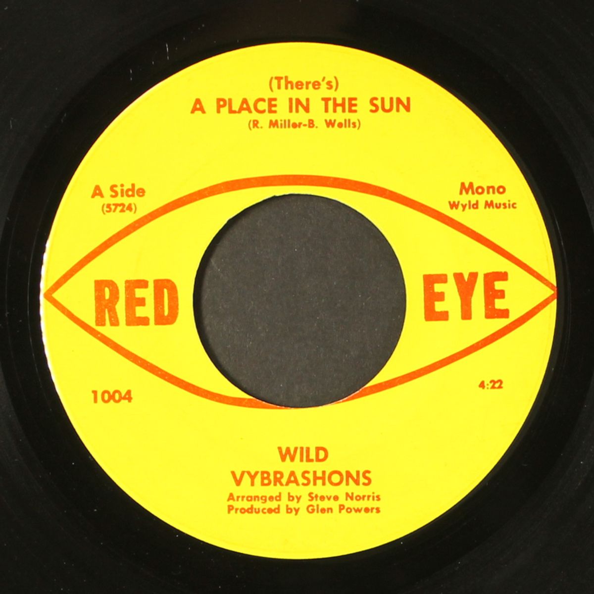 a place in the sun / one track mind by WILD VYBRASHONS