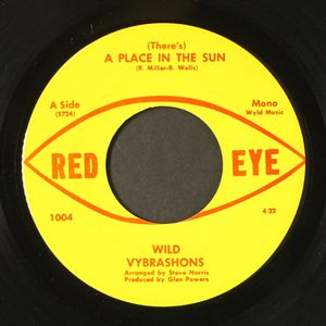 WILD VYBRASHONS