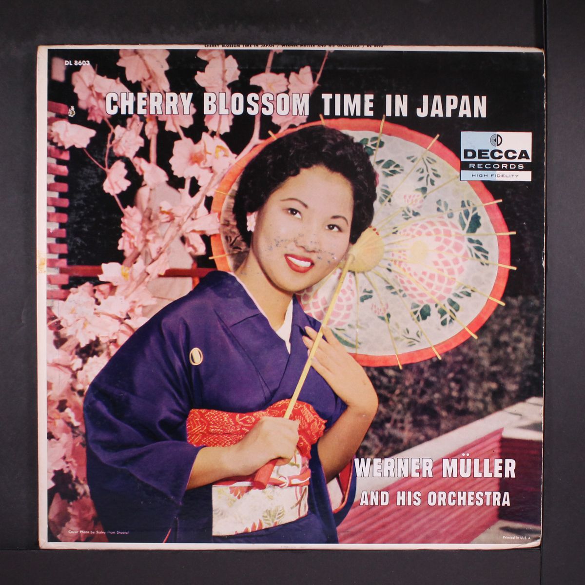 cherry blossom time in japan by WERNER MUELLER