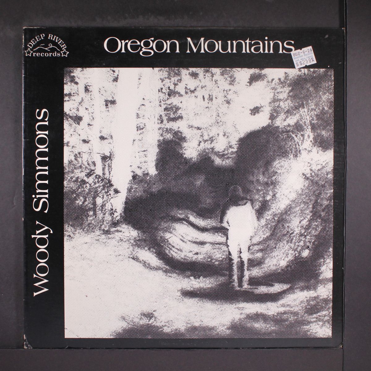 oregon mountains by WOODY SIMMONS